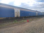 CPS FLT-034603-9